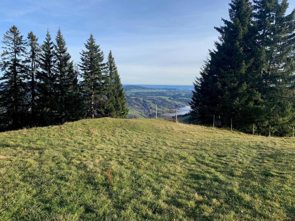 Ferienwohnung "Am Mittag" Blaichach Luaran gambar