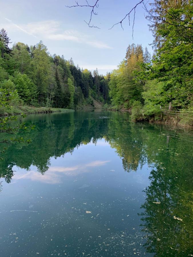 Ferienwohnung "Am Mittag" Blaichach Luaran gambar